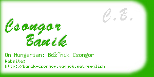 csongor banik business card